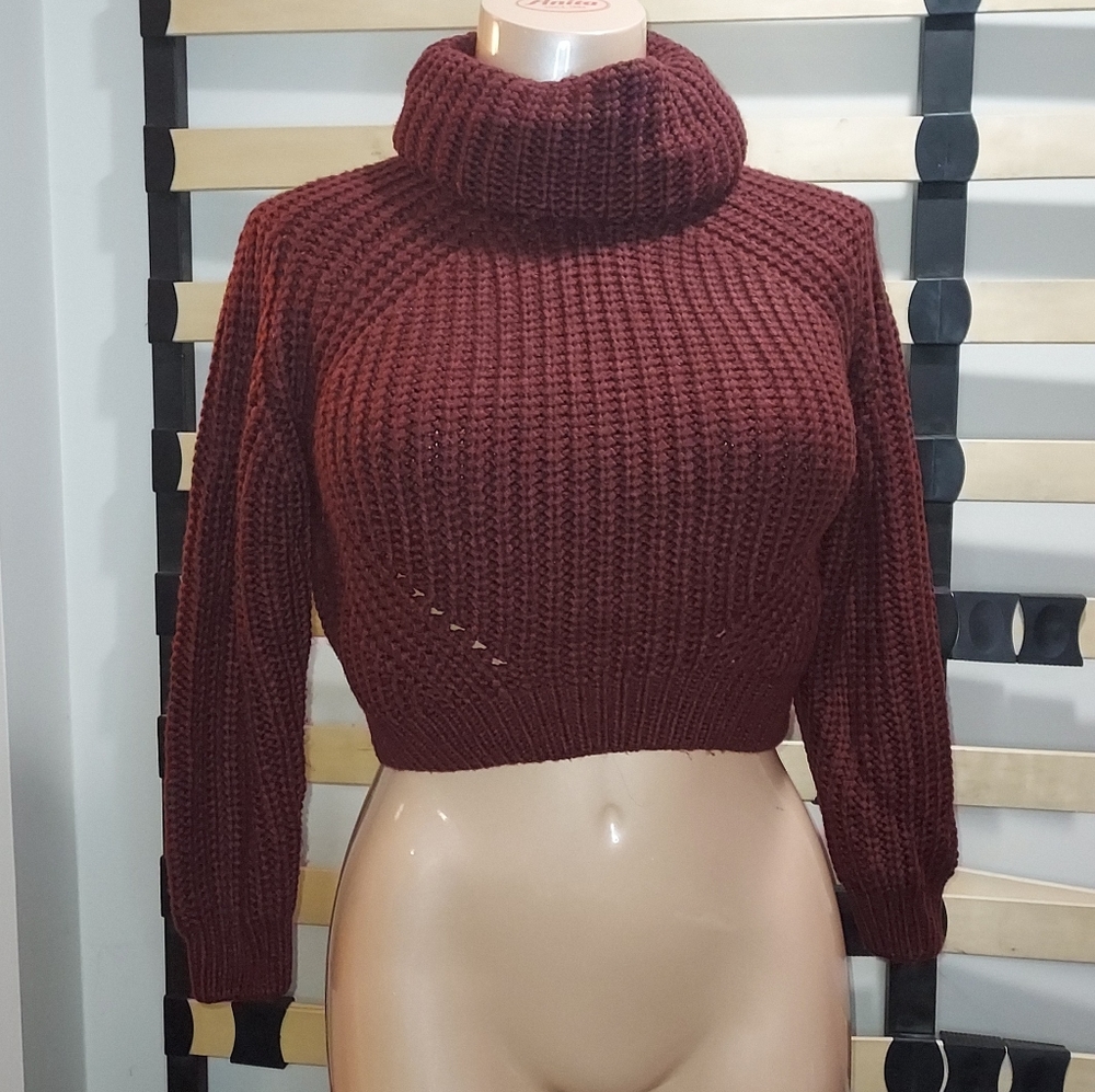 Woven Hearta Cropped Turtleneck Knit Sweater